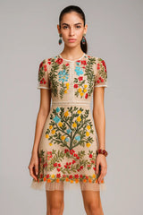 Chic Embroidered Elegant Dress