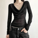 Sparkly Mesh Long Sleeve Top