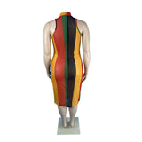 Woman's Bold Striped Dress for Summer-3