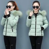 Ladies large fur collar padded down jacket-7