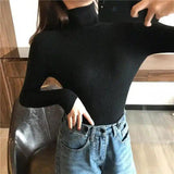 Women's Ribbed Turtleneck Sweater Slim Fit-Black-4